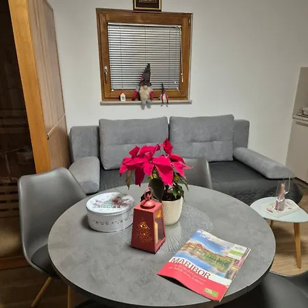 Apartma Maribor * Kamnica